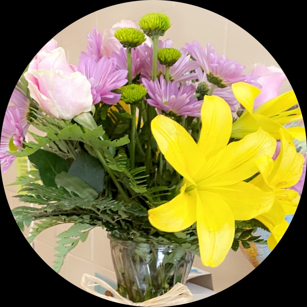 Meet your Posher, Laris